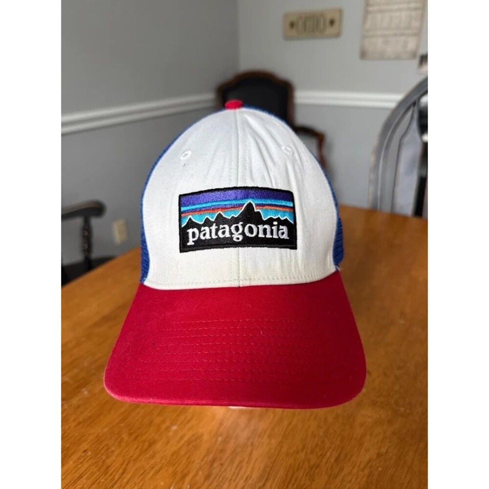 Patagonia hat